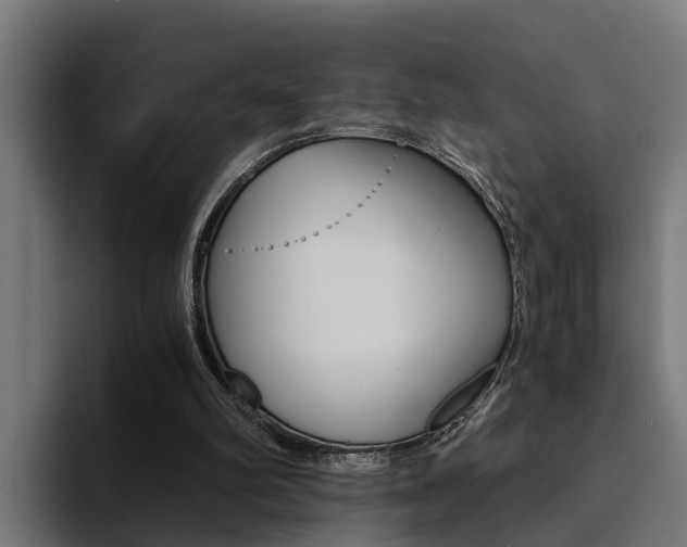 X0000094430102200711081027