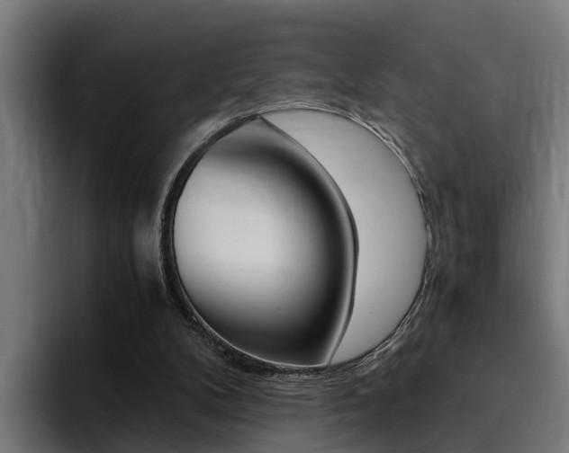X0000094430104200711081027
