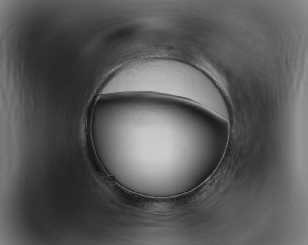 X0000094430107200711081027