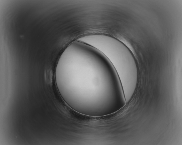X0000094430109200711081027