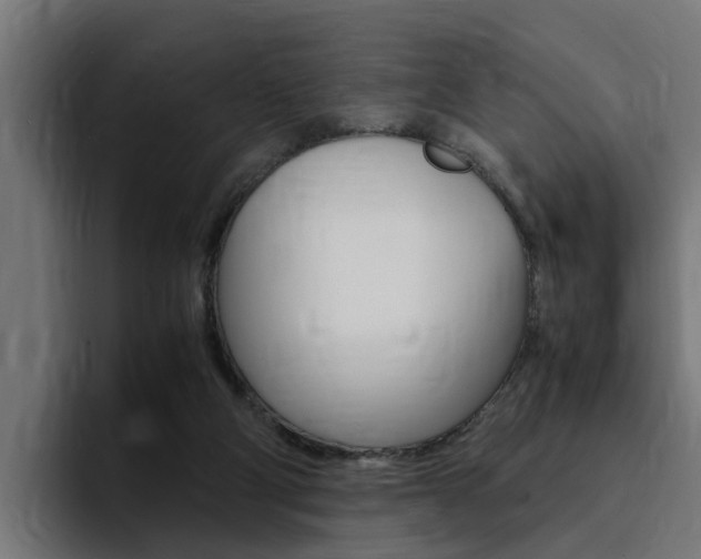 X0000094430114200711081027