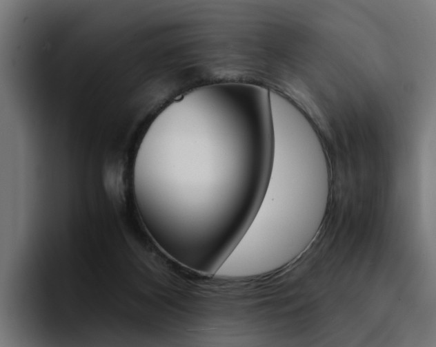 X0000094430116200711081027