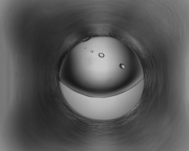 X0000094430120200711081027
