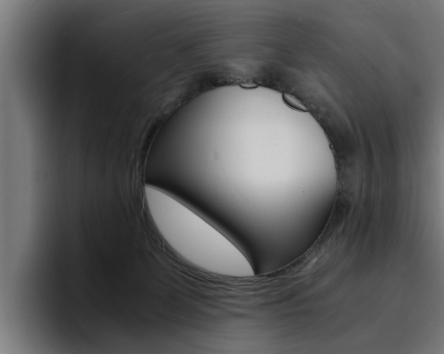 X0000094430131200711081027