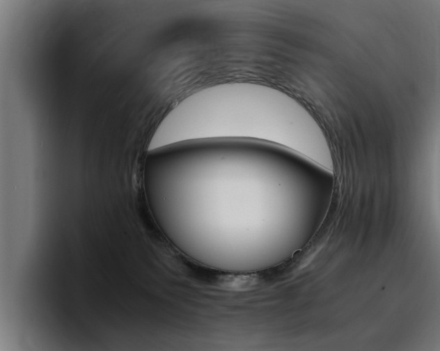X0000094430135200711081027