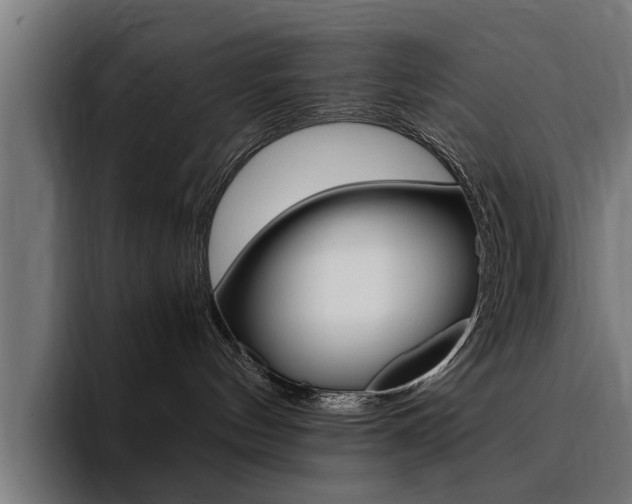 X0000094430144200711081027