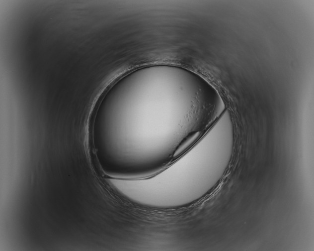 X0000094430148200711081026