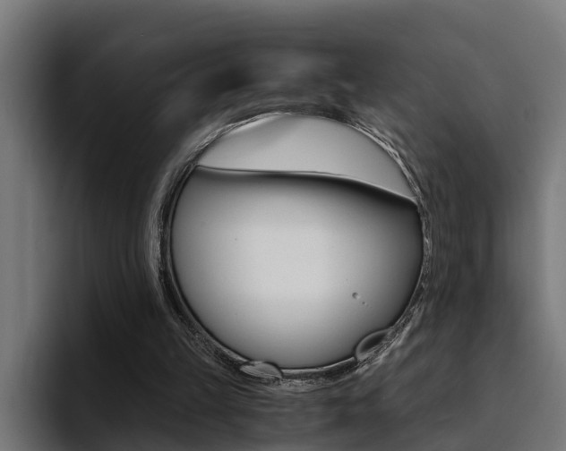 X0000094430149200711081026