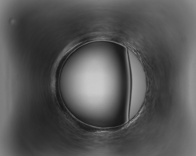 X0000094430150200711081026