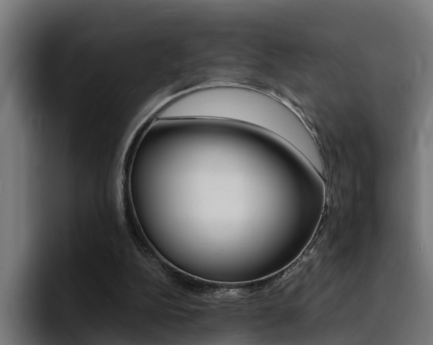 X0000094430152200711081026