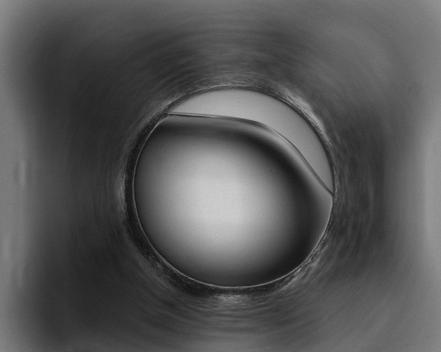 X0000094430154200711081026