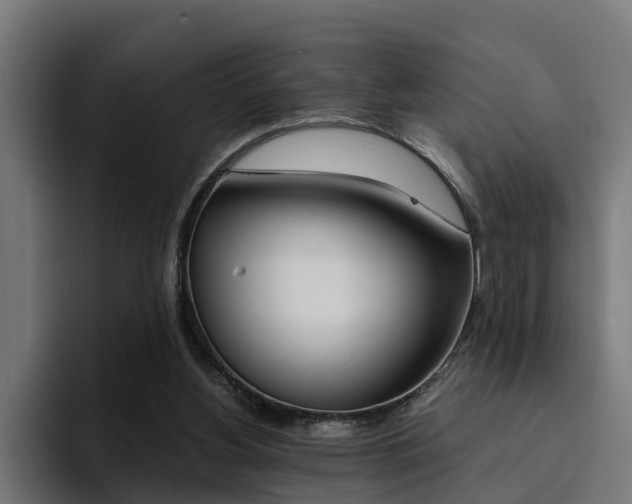 X0000094430156200711081026