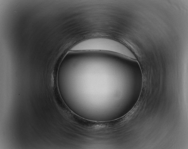 X0000094430158200711081026