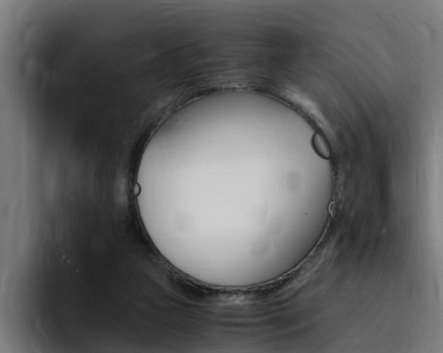 X0000094430161200711081026