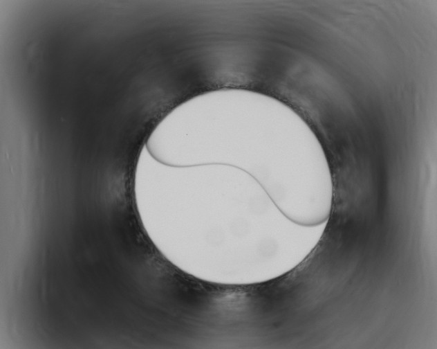 X0000094430162200711081026