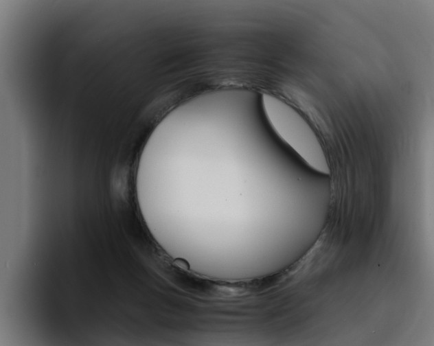 X0000094430167200711081026