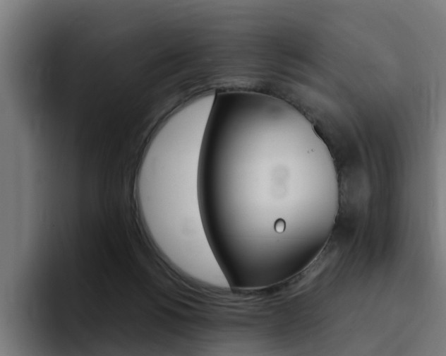 X0000094430168200711081026