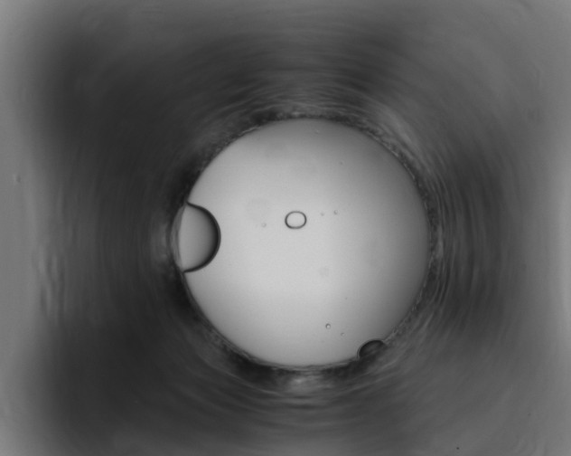 X0000094430173200711081026