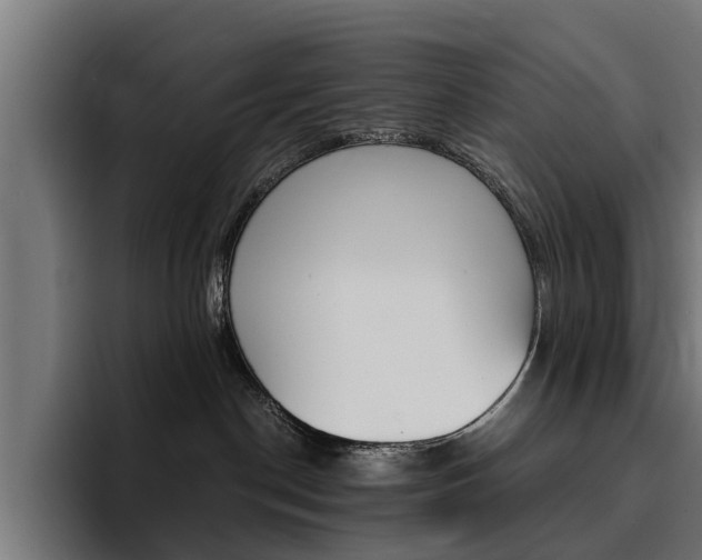 X0000094430190200711081026