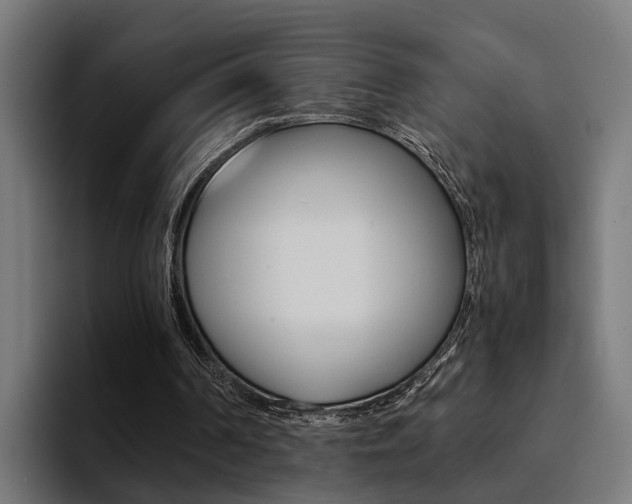 X0000094430194200711081026
