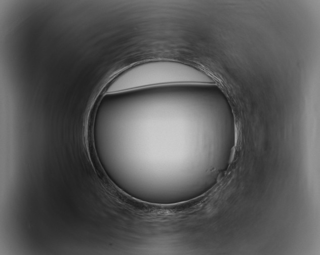 X0000094430195200711081026