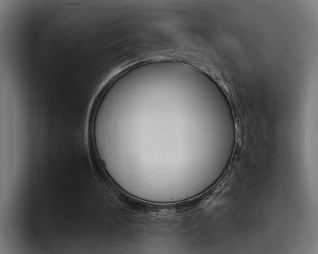 X0000094430196200711081026