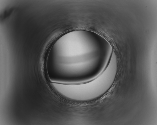 X0000094430197200711081026