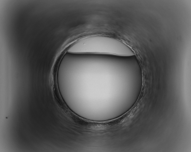 X0000094430198200711081026