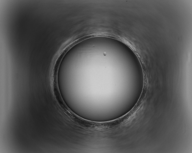 X0000094430199200711081026