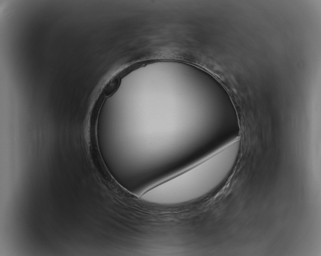 X0000094430200200711081026