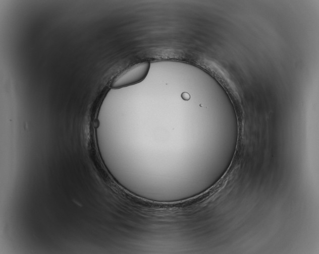 X0000094430202200711081026