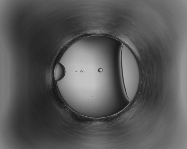 X0000094430204200711081026