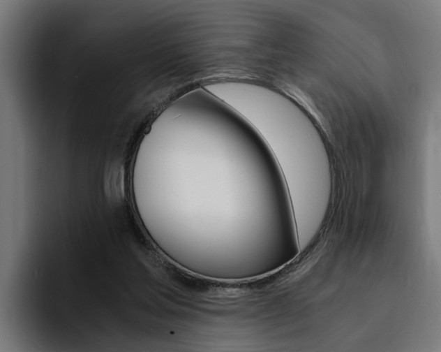 X0000094430205200711081026