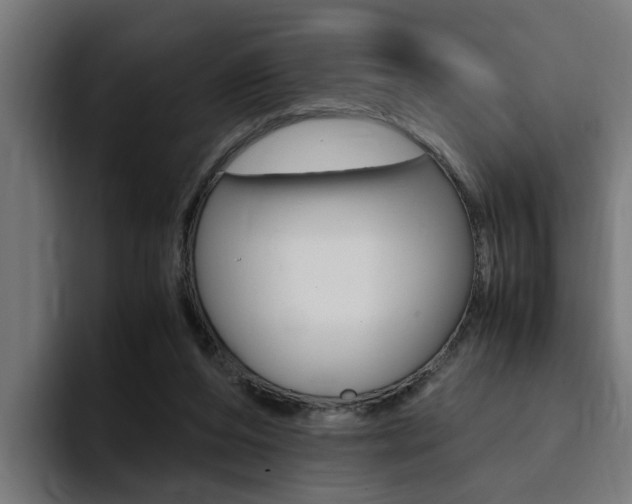 X0000094430208200711081026