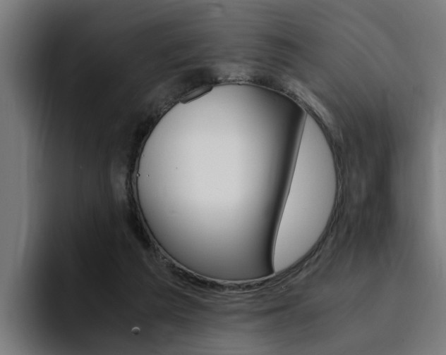 X0000094430209200711081026