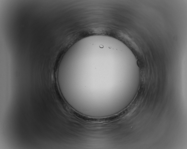 X0000094430213200711081026
