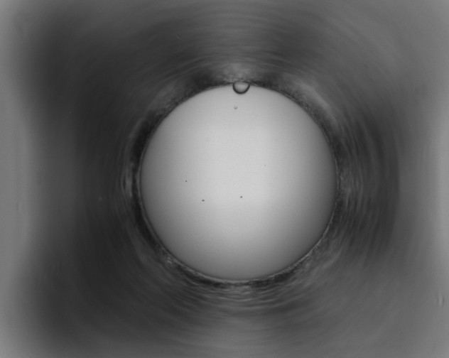 X0000094430214200711081026