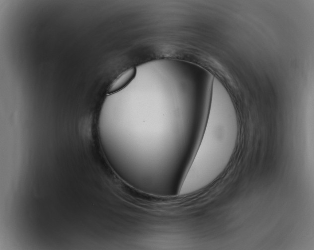 X0000094430217200711081026