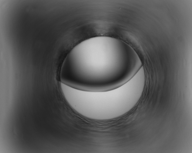 X0000094430221200711081026