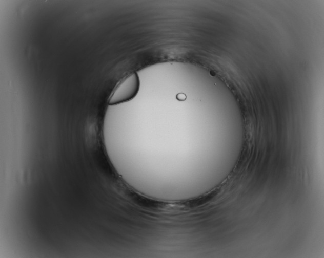 X0000094430222200711081026