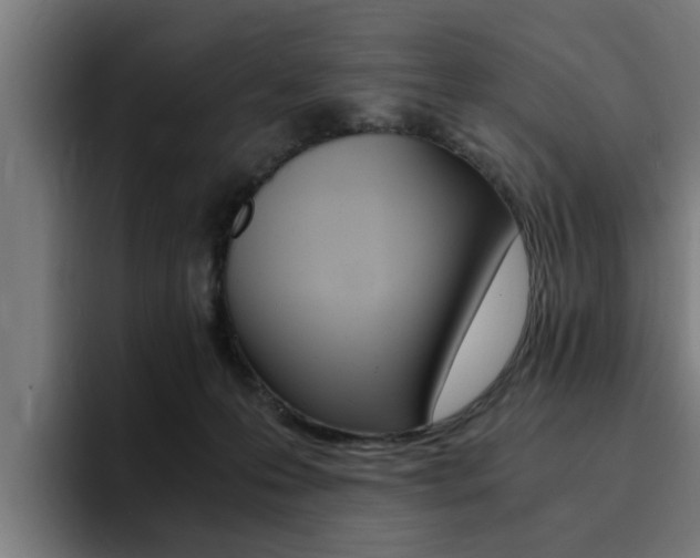 X0000094430223200711081025