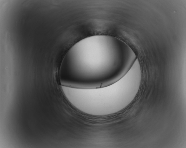 X0000094430225200711081025