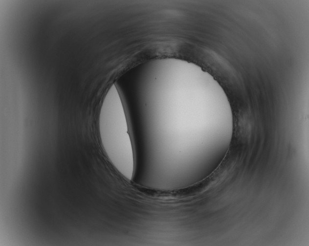 X0000094430228200711081025