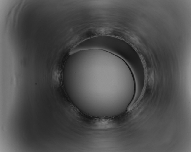 X0000094430235200711081025