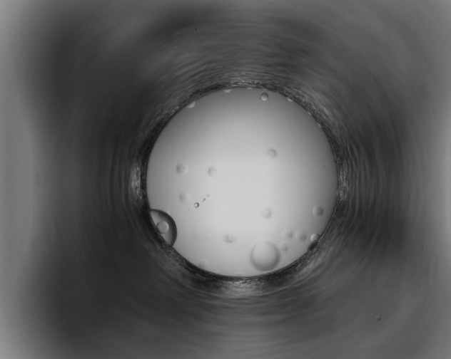 X0000094430238200711081025