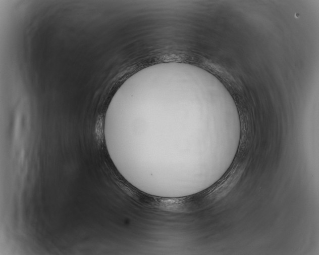 X0000094430240200711081025