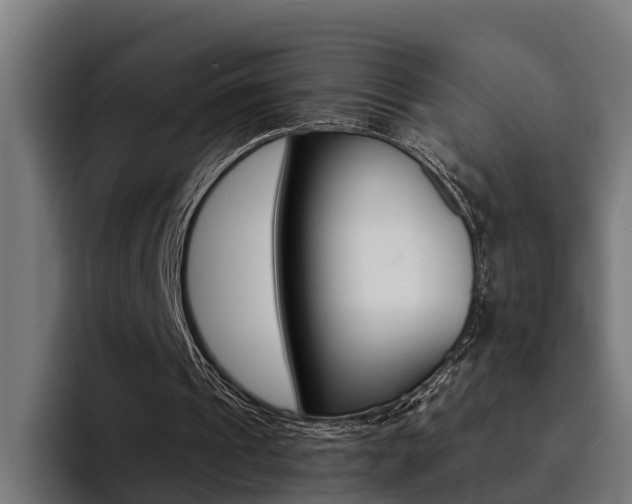 X0000094430241200711081024