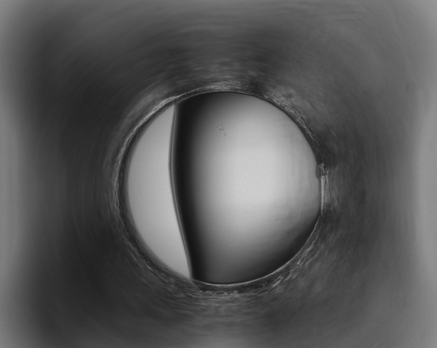 X0000094430243200711081024