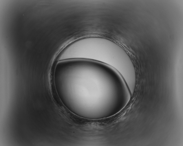 X0000094430244200711081025