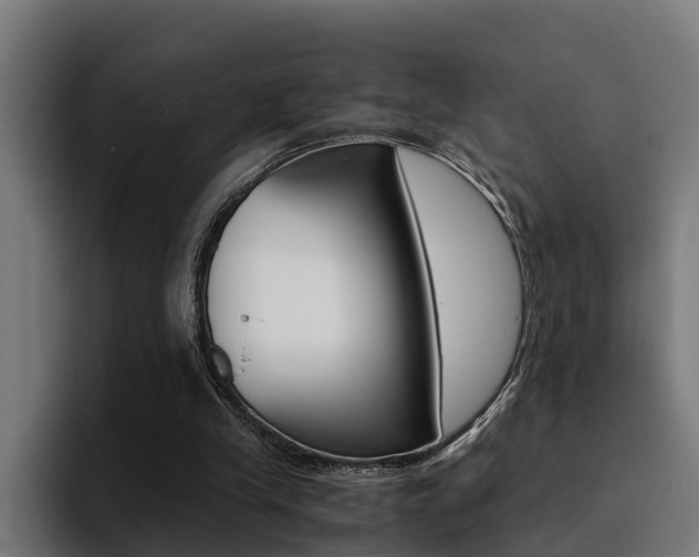 X0000094430245200711081025